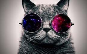 minimalism, abstract, glasses, space, cat, animals