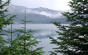 nature, lake