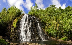 palm trees, waterfall, nature