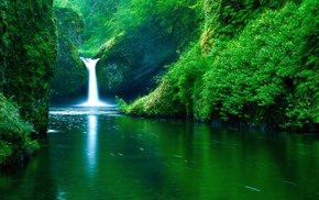 waterfall, forest, river, water, green, nature
