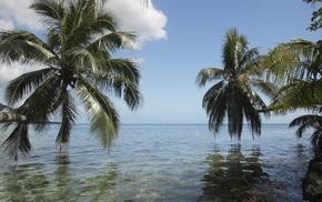 sea, summer, palm trees, clouds