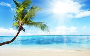 summer