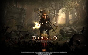 video games, Diablo III