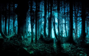 forest