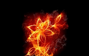 3D, flame, flower
