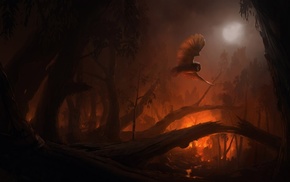 fire, forest, owl