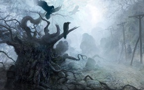 fantasy