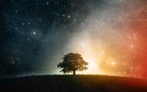 simple, space, trees, stars