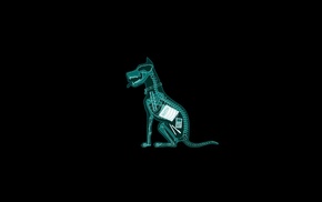 skeleton, dog, x, rays, black background