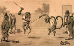 fencing, fighting, monkeys