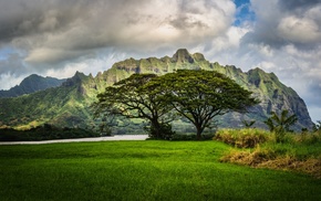 HDR, landscape, nature, Hawaii
