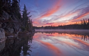 trees, lake, forest, landscape, nature, reflection