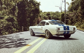 Ford Mustang, Ford, car