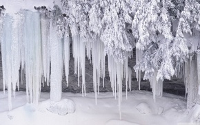 snow