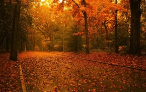 autumn, park