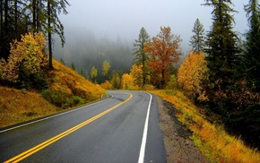 mountain, autumn, road