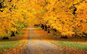 runway, foliage, autumn