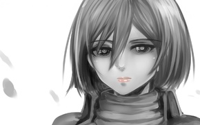 anime girls, Shingeki no Kyojin, anime, Mikasa Ackerman