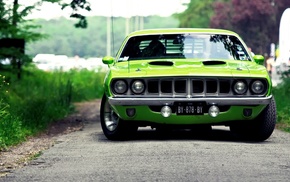 car, green, muscle cars