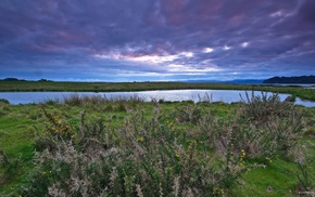 lake, nature