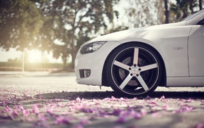 depth of field, petals, car, BMW, white cars, sunlight