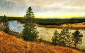 nature, river