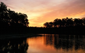 evening, trees, nature