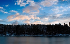 snow, winter