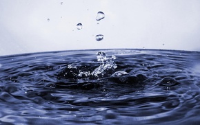 water, macro