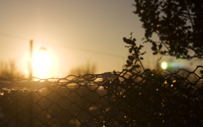 fence, Sun, ice, sunrise, yellow, sunlight