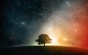 tree, night, hill, stars, 3D