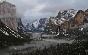 forest, landscape, mountain, mist, nature