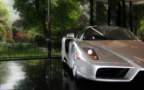 cars, nature, trees