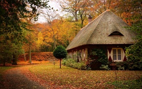autumn, lodge
