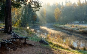 river, nature, trees, forest