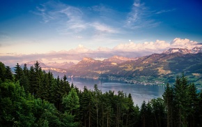 lake, forest