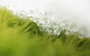 snow, macro, drops, spring