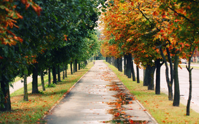 road, nature, autumn, park, trees