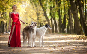 stunner, park, dog, girl