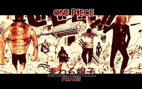 Roronoa Zoro, Monkey D. Luffy, Nami, Tony Tony Chopper, Usopp, One Piece