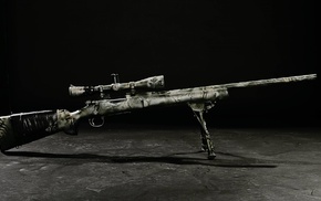 gun