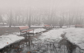 stunner, park, mist, winter