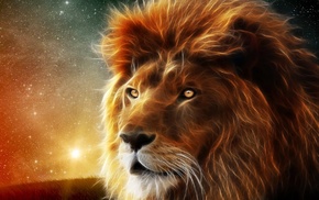 stars, lion