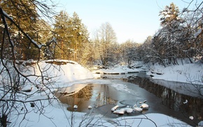 nature, spring, snow, winter, trees