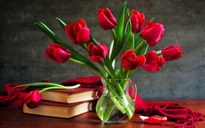 flowers, bouquet, books, vase, tulips