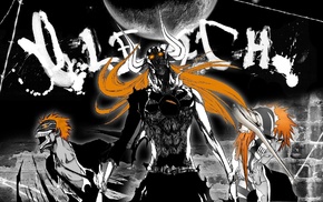 anime, Bleach