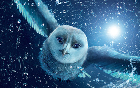 fly, owl, cartoon, movies, night