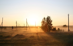 dawn, morning, nature, tree, Russia