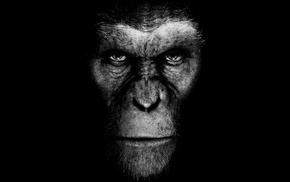 artwork, movies, Planet of the Apes
