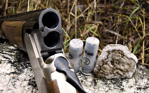 forest, gun
